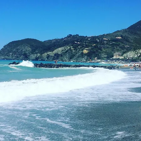 L'acciuga